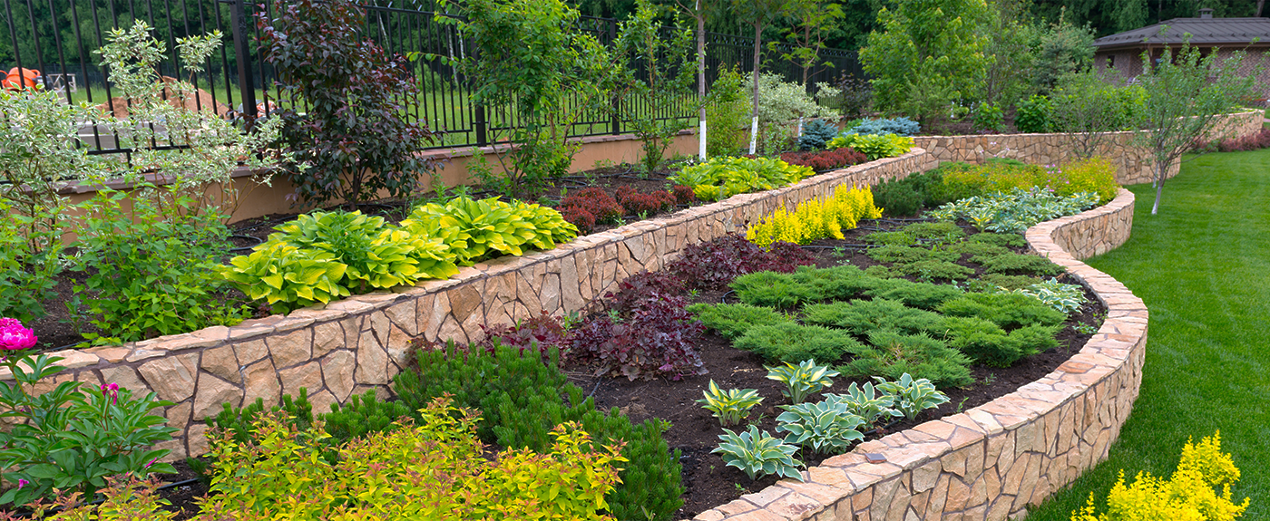 Landscape design in home garden. Landscaping, nature and house