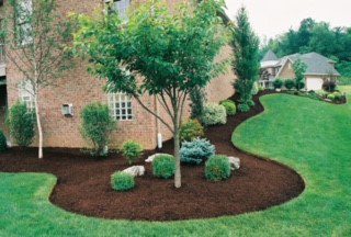 Curved Landscaping