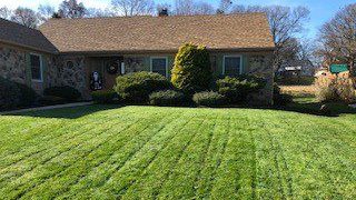 mow lawn and tree cape against house